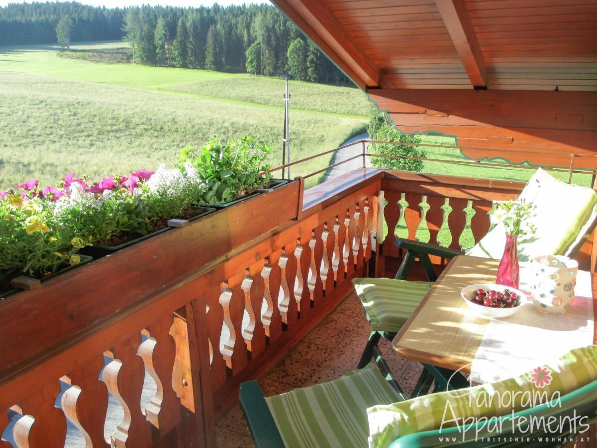 Panorama Appartement Ramsau am Dachstein Bagian luar foto