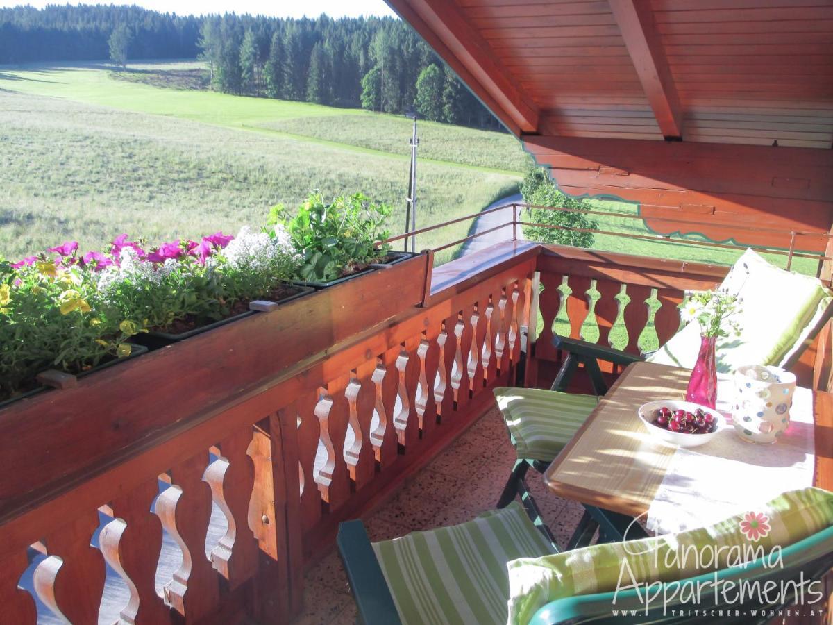 Panorama Appartement Ramsau am Dachstein Bagian luar foto