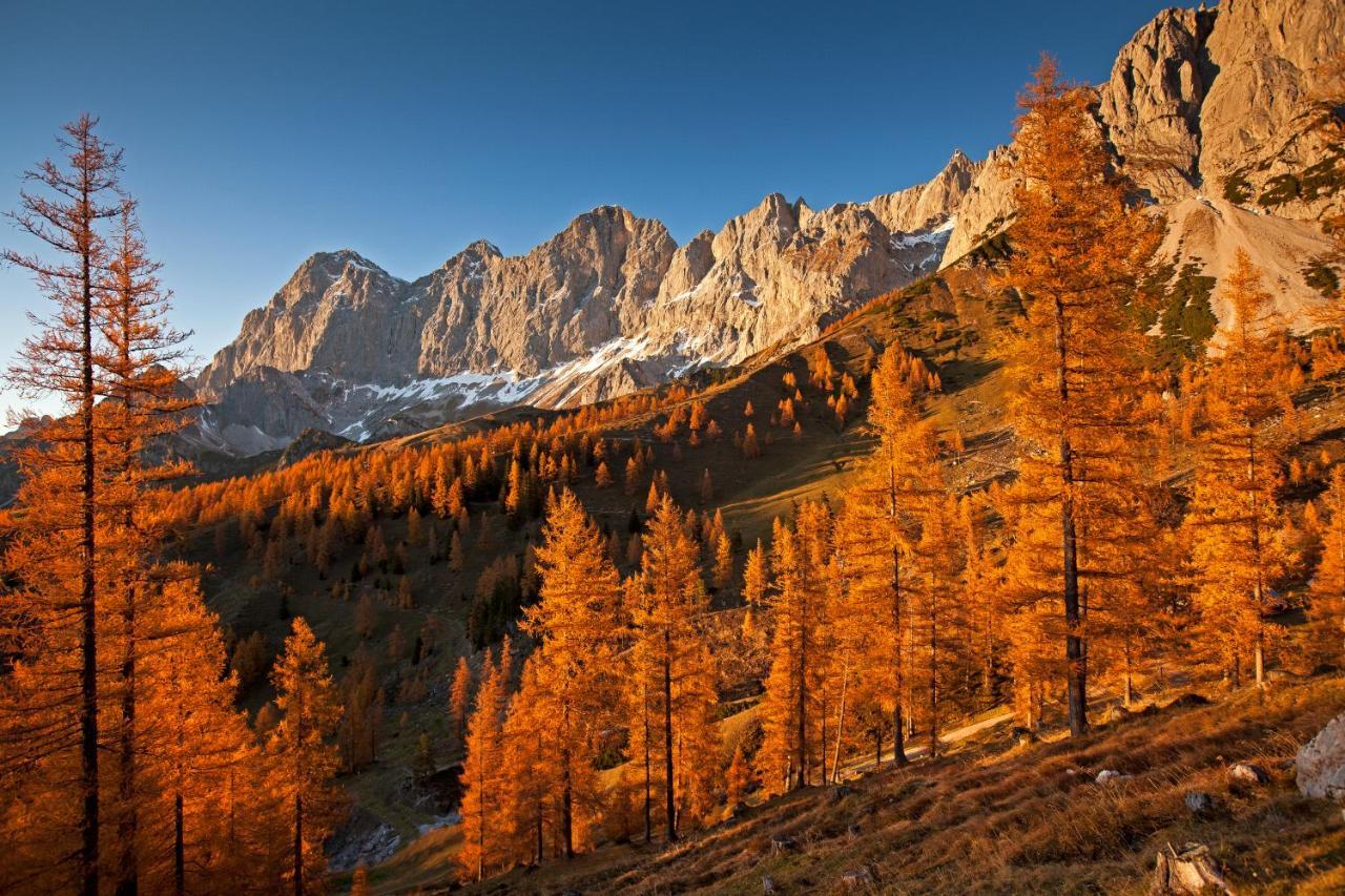 Panorama Appartement Ramsau am Dachstein Bagian luar foto