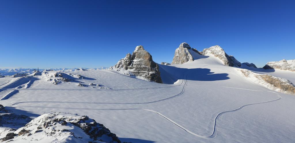 Panorama Appartement Ramsau am Dachstein Bagian luar foto